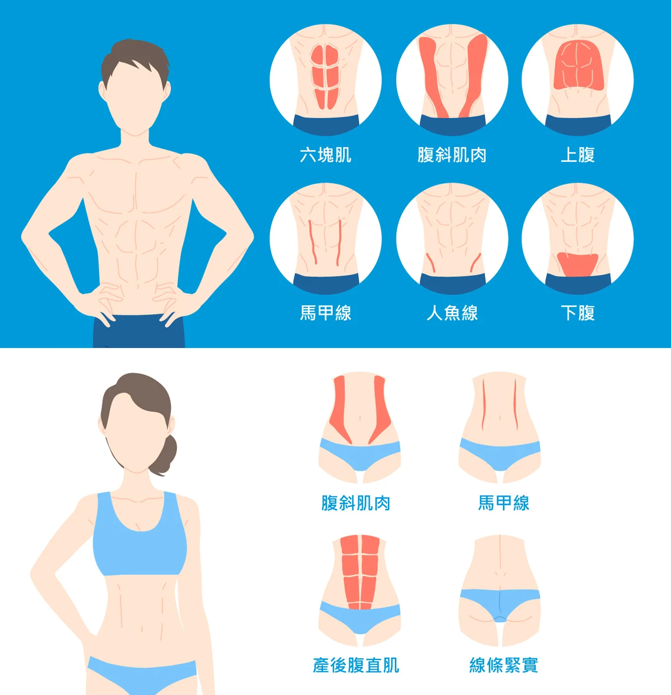 EMBODY 常見加強部位:腹部各區、腰側線條、產後腹直肌(實際部位依醫師評估)